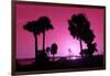 Silhouette Palm Trees at Sunset-Philippe Hugonnard-Framed Photographic Print