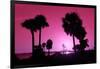 Silhouette Palm Trees at Sunset-Philippe Hugonnard-Framed Photographic Print