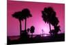 Silhouette Palm Trees at Sunset-Philippe Hugonnard-Mounted Premium Photographic Print