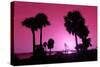 Silhouette Palm Trees at Sunset-Philippe Hugonnard-Stretched Canvas