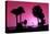 Silhouette Palm Trees at Sunset-Philippe Hugonnard-Stretched Canvas