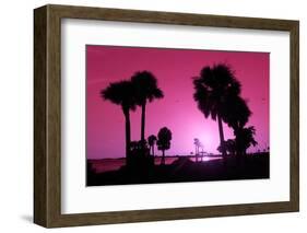 Silhouette Palm Trees at Sunset-Philippe Hugonnard-Framed Photographic Print