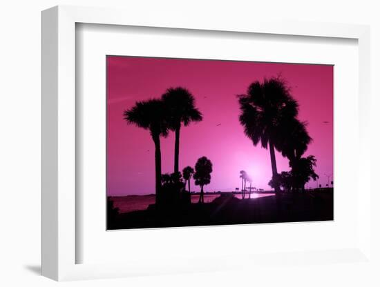 Silhouette Palm Trees at Sunset-Philippe Hugonnard-Framed Photographic Print
