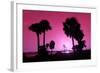 Silhouette Palm Trees at Sunset-Philippe Hugonnard-Framed Photographic Print