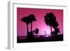 Silhouette Palm Trees at Sunset-Philippe Hugonnard-Framed Photographic Print