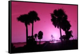 Silhouette Palm Trees at Sunset-Philippe Hugonnard-Framed Stretched Canvas