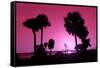 Silhouette Palm Trees at Sunset-Philippe Hugonnard-Framed Stretched Canvas