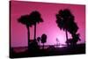 Silhouette Palm Trees at Sunset-Philippe Hugonnard-Stretched Canvas