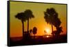 Silhouette Palm Trees at Sunset-Philippe Hugonnard-Framed Stretched Canvas