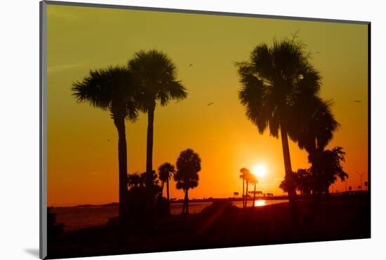 Silhouette Palm Trees at Sunset-Philippe Hugonnard-Mounted Photographic Print