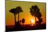Silhouette Palm Trees at Sunset-Philippe Hugonnard-Mounted Photographic Print