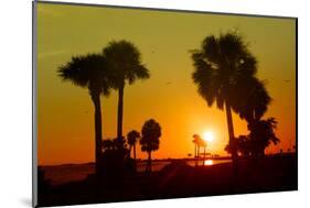 Silhouette Palm Trees at Sunset-Philippe Hugonnard-Mounted Photographic Print