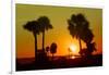 Silhouette Palm Trees at Sunset-Philippe Hugonnard-Framed Photographic Print