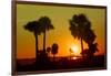 Silhouette Palm Trees at Sunset-Philippe Hugonnard-Framed Photographic Print