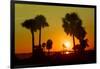 Silhouette Palm Trees at Sunset-Philippe Hugonnard-Framed Photographic Print