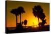 Silhouette Palm Trees at Sunset-Philippe Hugonnard-Stretched Canvas