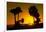 Silhouette Palm Trees at Sunset-Philippe Hugonnard-Framed Photographic Print