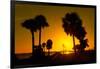 Silhouette Palm Trees at Sunset-Philippe Hugonnard-Framed Photographic Print