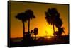 Silhouette Palm Trees at Sunset-Philippe Hugonnard-Framed Stretched Canvas