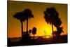 Silhouette Palm Trees at Sunset-Philippe Hugonnard-Stretched Canvas