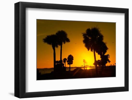 Silhouette Palm Trees at Sunset-Philippe Hugonnard-Framed Photographic Print