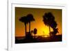 Silhouette Palm Trees at Sunset-Philippe Hugonnard-Framed Photographic Print