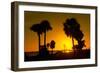 Silhouette Palm Trees at Sunset-Philippe Hugonnard-Framed Photographic Print