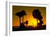 Silhouette Palm Trees at Sunset-Philippe Hugonnard-Framed Photographic Print