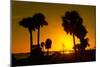 Silhouette Palm Trees at Sunset-Philippe Hugonnard-Mounted Photographic Print