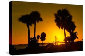 Silhouette Palm Trees at Sunset-Philippe Hugonnard-Stretched Canvas