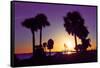 Silhouette Palm Trees at Sunset-Philippe Hugonnard-Framed Stretched Canvas