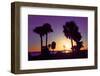 Silhouette Palm Trees at Sunset-Philippe Hugonnard-Framed Photographic Print