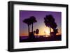 Silhouette Palm Trees at Sunset-Philippe Hugonnard-Framed Photographic Print