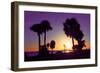 Silhouette Palm Trees at Sunset-Philippe Hugonnard-Framed Photographic Print