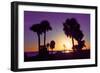 Silhouette Palm Trees at Sunset-Philippe Hugonnard-Framed Photographic Print