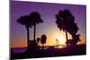 Silhouette Palm Trees at Sunset-Philippe Hugonnard-Mounted Photographic Print