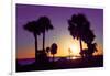 Silhouette Palm Trees at Sunset-Philippe Hugonnard-Framed Photographic Print