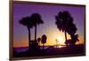 Silhouette Palm Trees at Sunset-Philippe Hugonnard-Framed Photographic Print