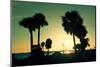 Silhouette Palm Trees at Sunset-Philippe Hugonnard-Mounted Photographic Print