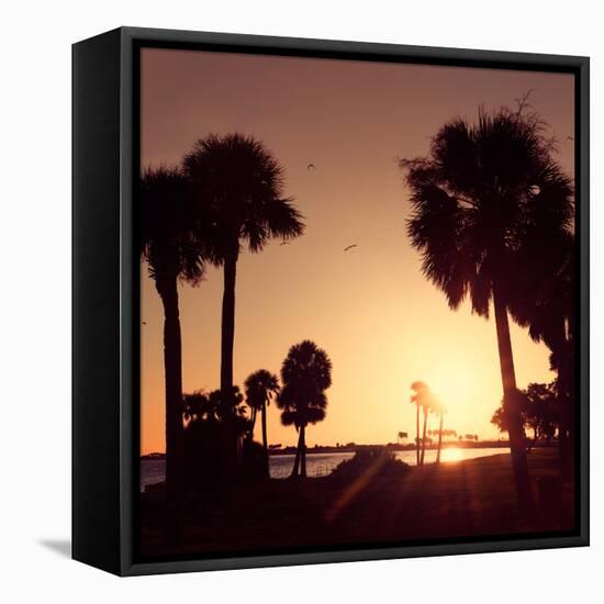 Silhouette Palm Trees at Sunset-Philippe Hugonnard-Framed Stretched Canvas