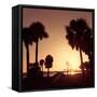 Silhouette Palm Trees at Sunset-Philippe Hugonnard-Framed Stretched Canvas