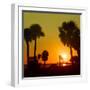 Silhouette Palm Trees at Sunset-Philippe Hugonnard-Framed Photographic Print