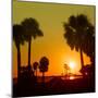 Silhouette Palm Trees at Sunset-Philippe Hugonnard-Mounted Photographic Print