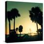 Silhouette Palm Trees at Sunset-Philippe Hugonnard-Stretched Canvas