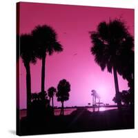 Silhouette Palm Trees at Sunset-Philippe Hugonnard-Stretched Canvas