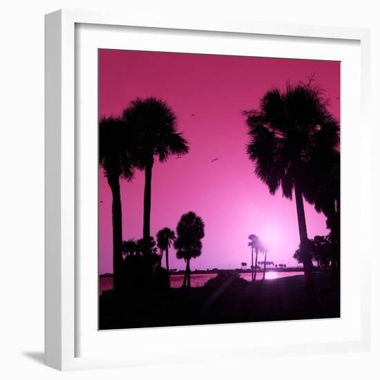 Silhouette Palm Trees at Sunset-Philippe Hugonnard-Framed Photographic Print