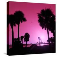 Silhouette Palm Trees at Sunset-Philippe Hugonnard-Stretched Canvas