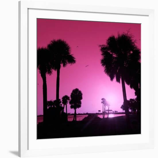 Silhouette Palm Trees at Sunset-Philippe Hugonnard-Framed Photographic Print