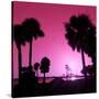 Silhouette Palm Trees at Sunset-Philippe Hugonnard-Stretched Canvas