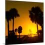 Silhouette Palm Trees at Sunset-Philippe Hugonnard-Mounted Photographic Print